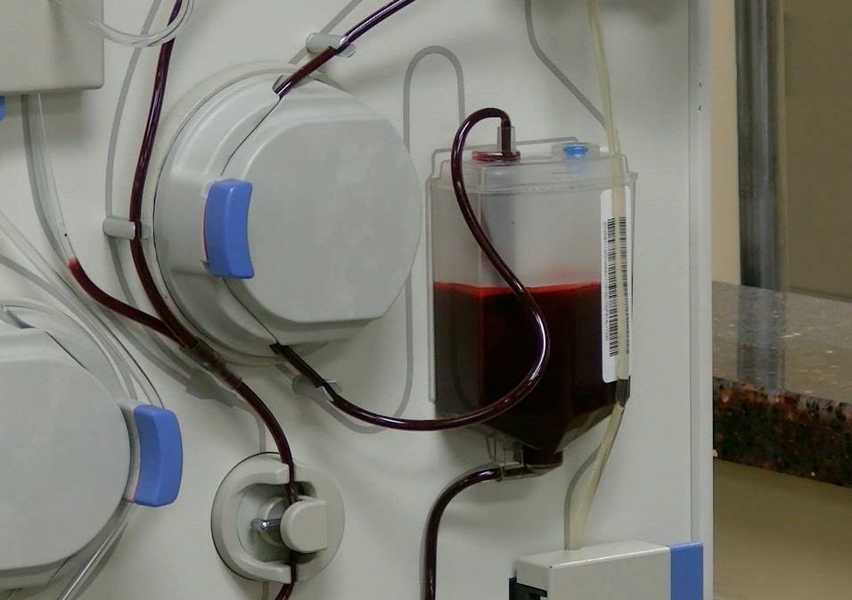 plasma-donation